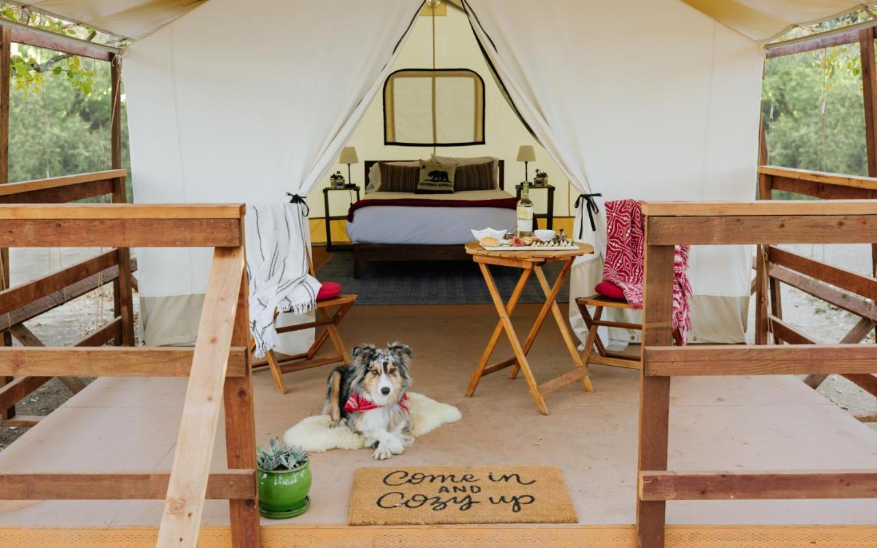 ホテル Wildhaven Sonoma Glamping ヒールズバーグ エクステリア 写真