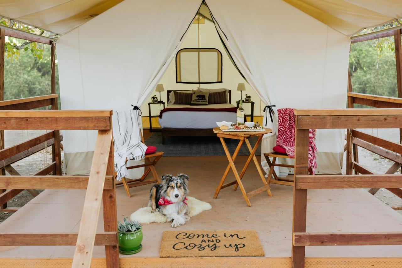 ホテル Wildhaven Sonoma Glamping ヒールズバーグ エクステリア 写真