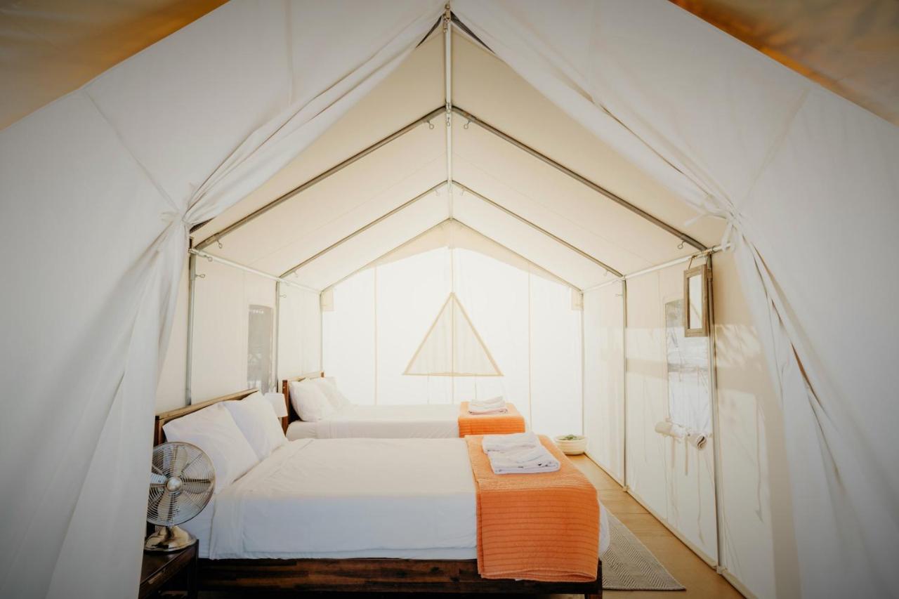 ホテル Wildhaven Sonoma Glamping ヒールズバーグ エクステリア 写真