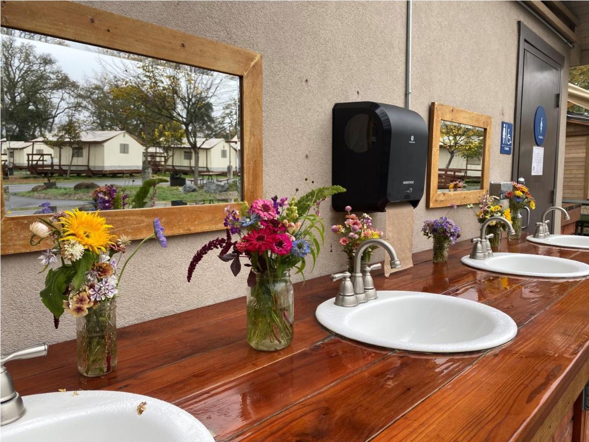 ホテル Wildhaven Sonoma Glamping ヒールズバーグ エクステリア 写真